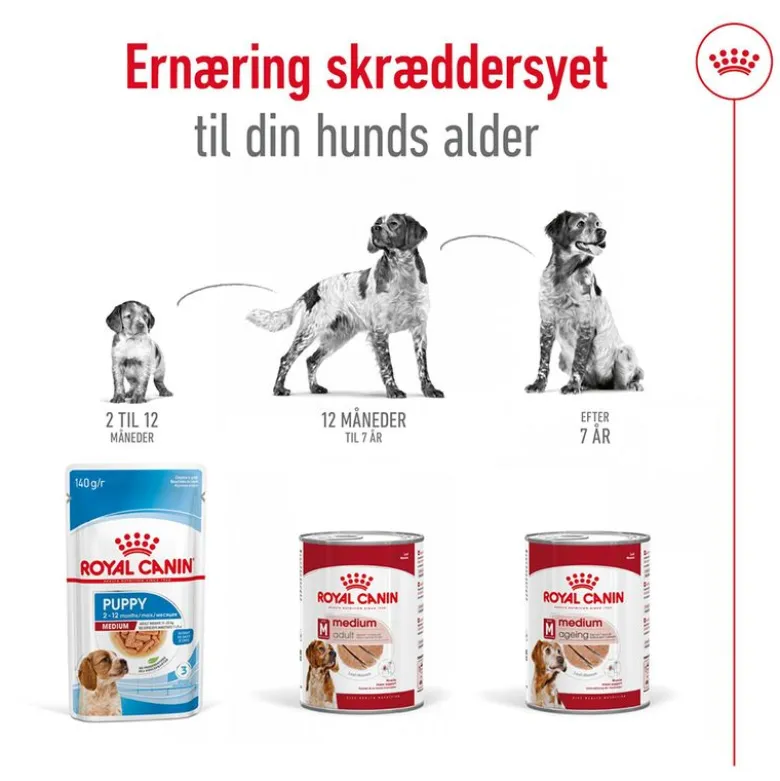 Royal Canin Medium Ageing Mousse