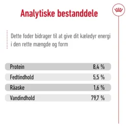 Royal Canin Medium Ageing Mousse