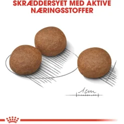 Royal Canin Medium Digestive Care