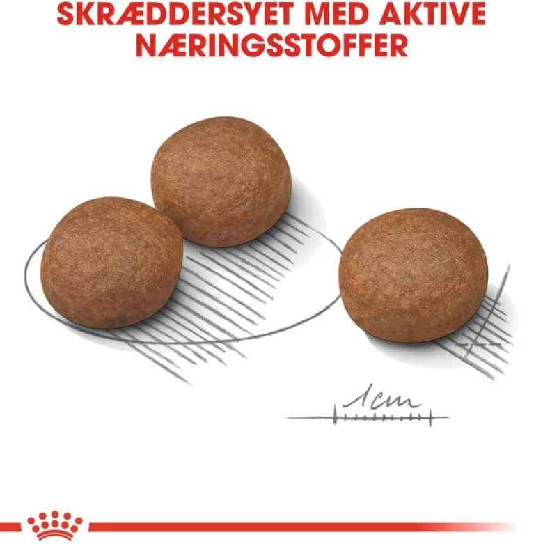 Royal Canin Medium Digestive Care