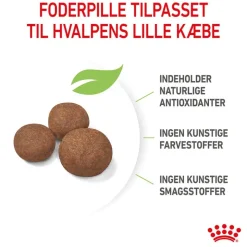 Royal Canin Medium Puppy
