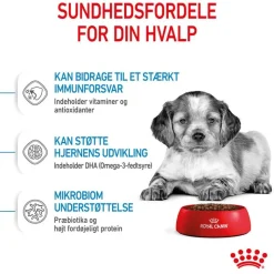 Royal Canin Medium Puppy