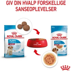 Royal Canin Medium Puppy i sauce