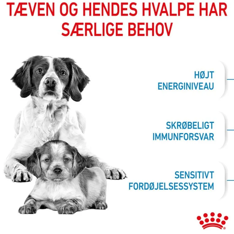 Royal Canin Medium Starter Mother & Babydog