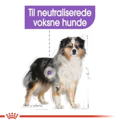 Royal Canin Medium Sterilised