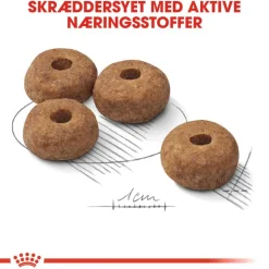 Royal Canin Medium Sterilised