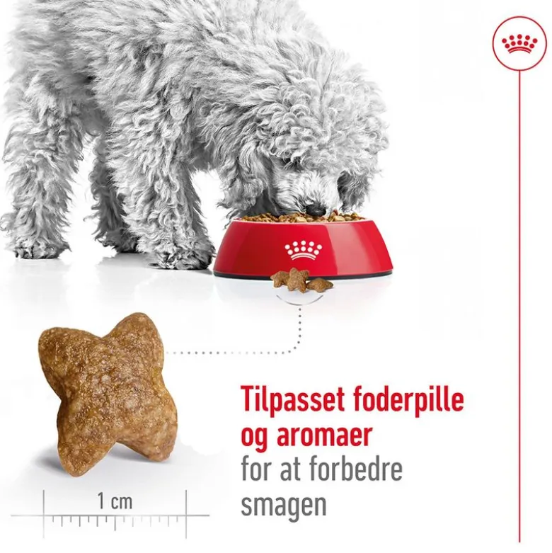 Royal Canin Mini Adult