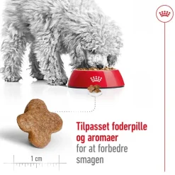 Royal Canin Mini Adult 8+