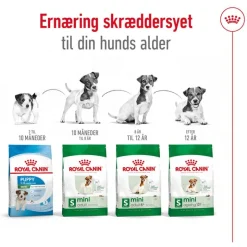 Royal Canin Mini Adult 8+