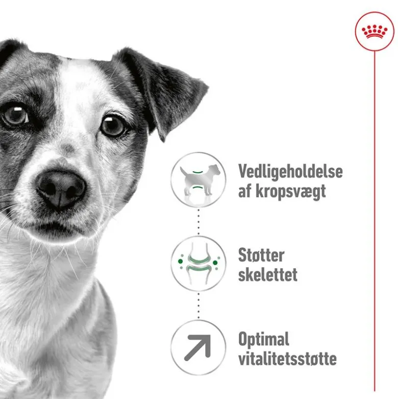 Royal Canin Mini Adult 8+