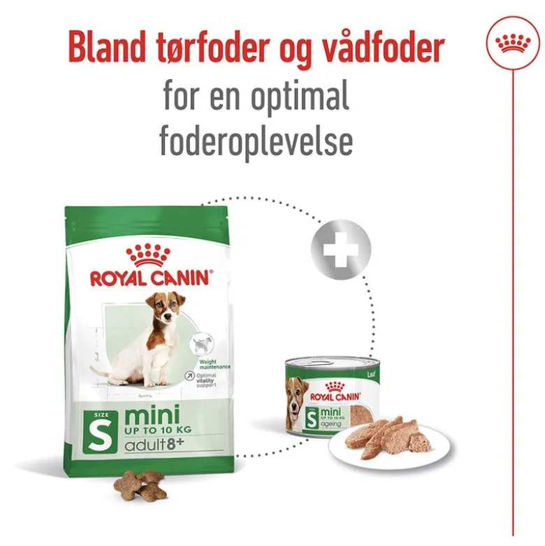 Royal Canin Mini Adult 8+