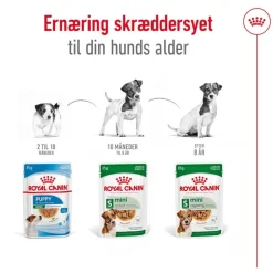 Royal Canin Mini Adult i sauce