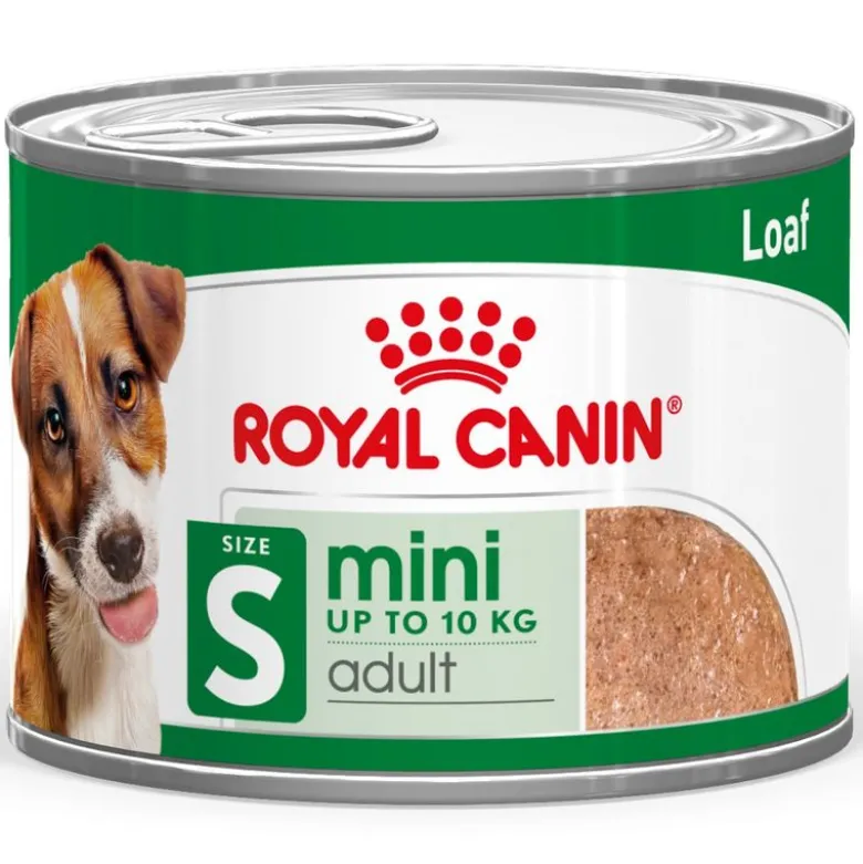 Royal Canin Mini Adult Mousse