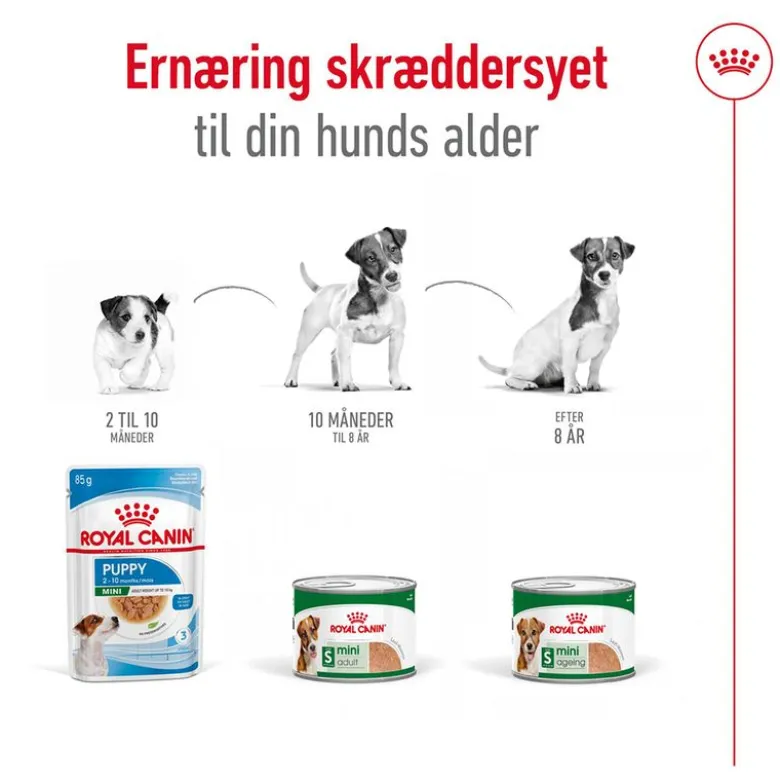 Royal Canin Mini Adult Mousse