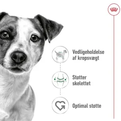 Royal Canin Mini Adult Mousse
