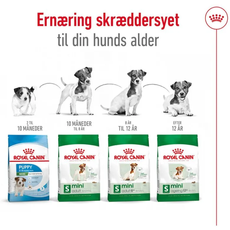 Royal Canin Mini Ageing 12+