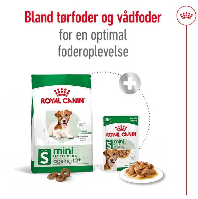 Royal Canin Mini Ageing 12+