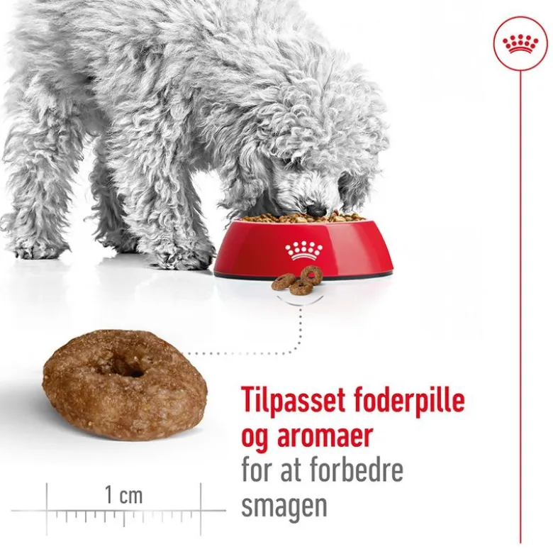 Royal Canin Mini Ageing 12+