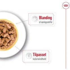 Royal Canin Mini Ageing i sauce