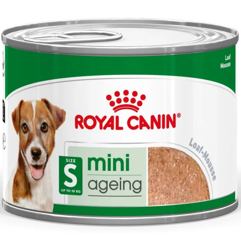 Royal Canin Mini Ageing Mousse