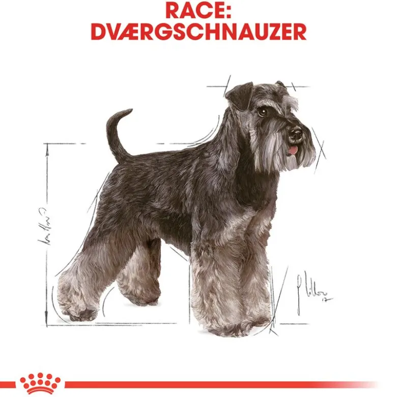 Royal Canin Miniature Schnauzer Adult