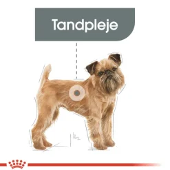 Royal Canin Mini Dental Care