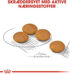 Royal Canin Mini Dermacomfort