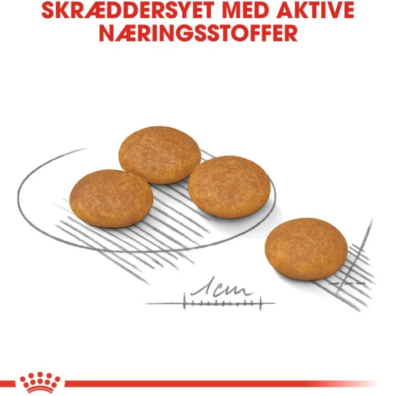 Royal Canin Mini Dermacomfort