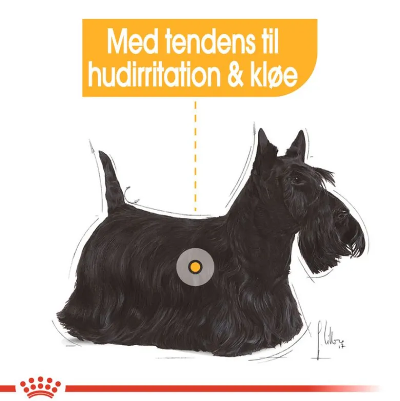 Royal Canin Mini Dermacomfort