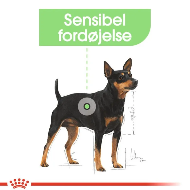 Royal Canin Mini Digestive Care
