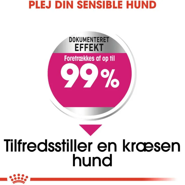 Royal Canin Mini Exigent