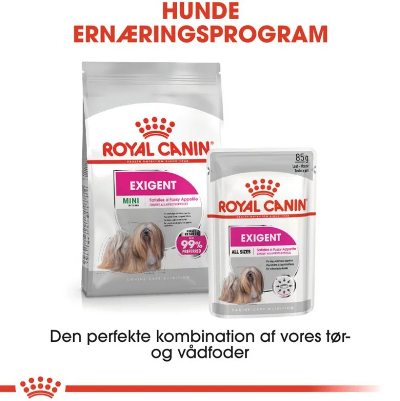 Royal Canin Mini Exigent