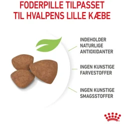 Royal Canin Mini Puppy