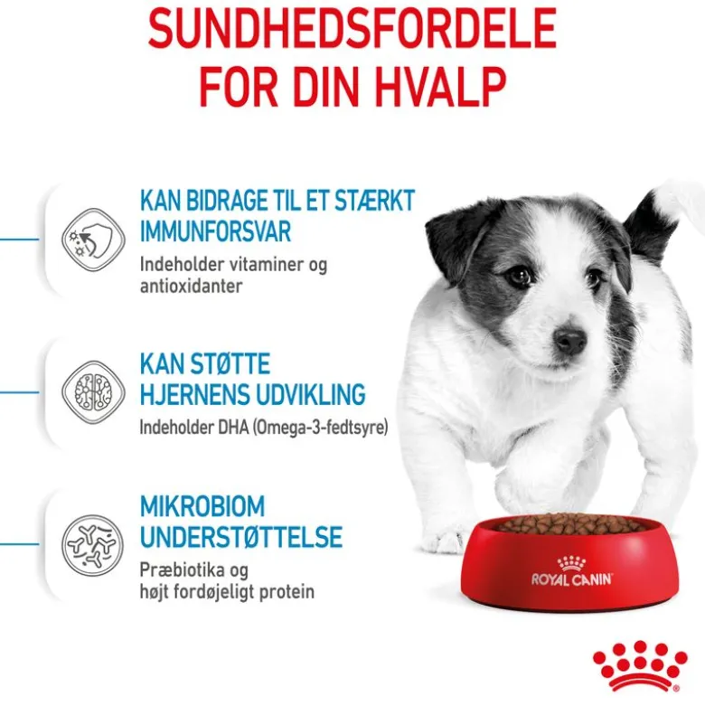 Royal Canin Mini Puppy