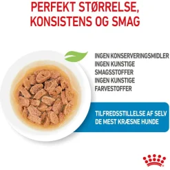 Royal Canin Mini Puppy i sauce