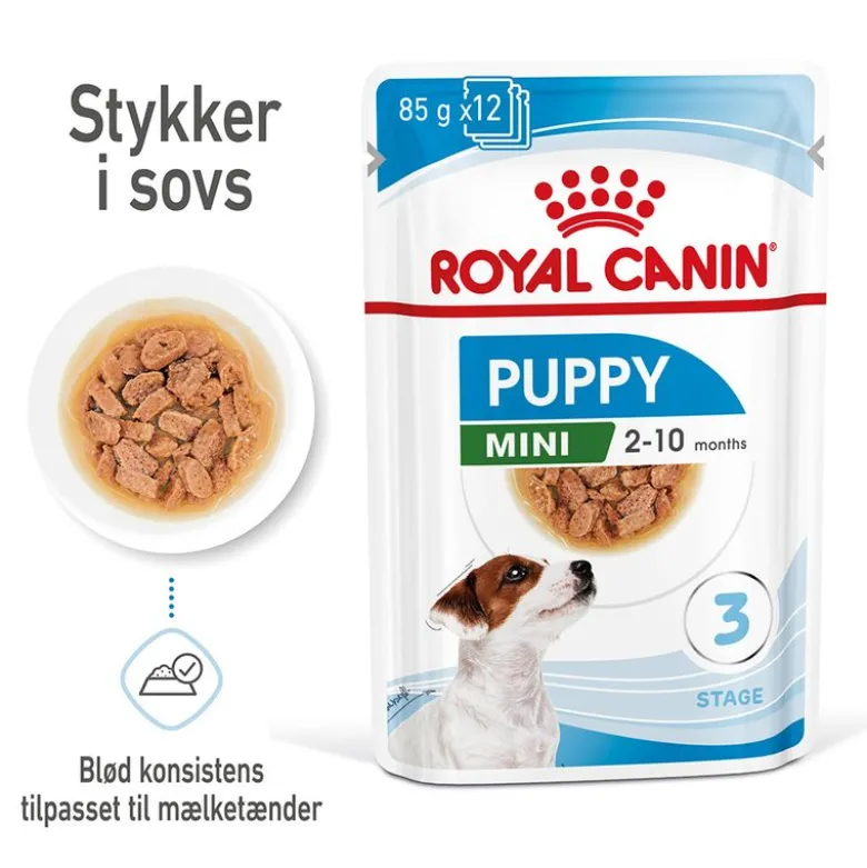 Royal Canin Mini Puppy i sauce