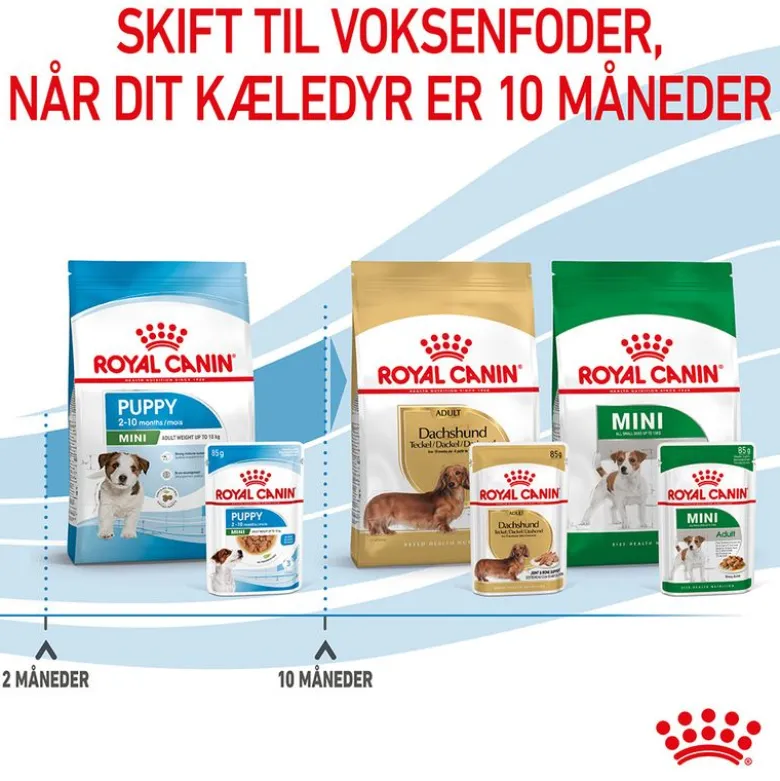Royal Canin Mini Puppy i sauce