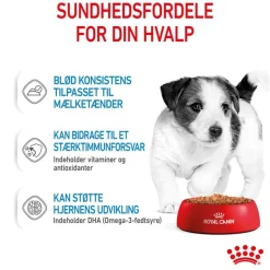 Royal Canin Mini Puppy i sauce