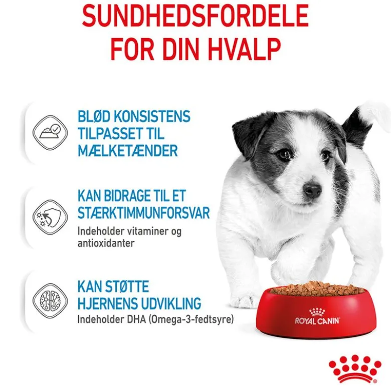 Royal Canin Mini Puppy i sauce