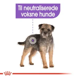 Royal Canin Mini Sterilised