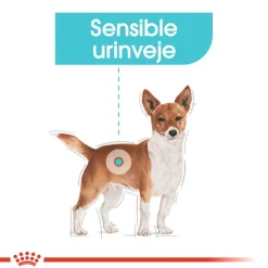 Royal Canin Mini Urinary Care