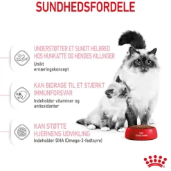 Royal Canin Mother & Babycat kattetørfoder