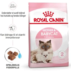 Royal Canin Mother & Babycat kattetørfoder