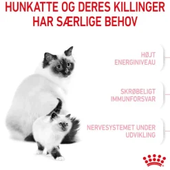 Royal Canin Mother & Babycat kattetørfoder