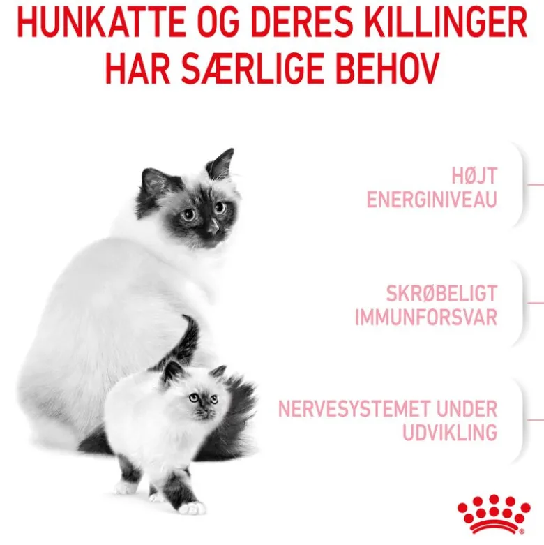 Royal Canin Mother & Babycat kattetørfoder