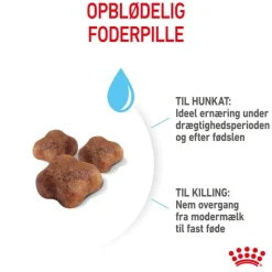 Royal Canin Mother & Babycat kattetørfoder