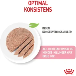 Royal Canin Mother & Babycat Ultra Soft Mousse