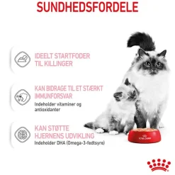 Royal Canin Mother & Babycat Ultra Soft Mousse