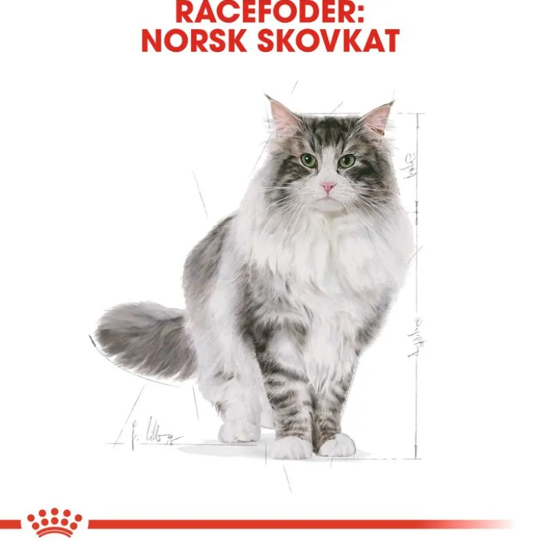 Royal Canin norsk skovkat Adult