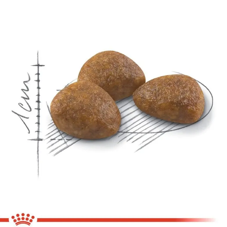Royal Canin Outdoor 7+